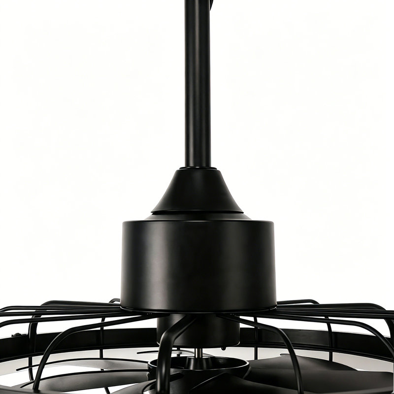 Ventilateur de plafond extérieur 19,6 po