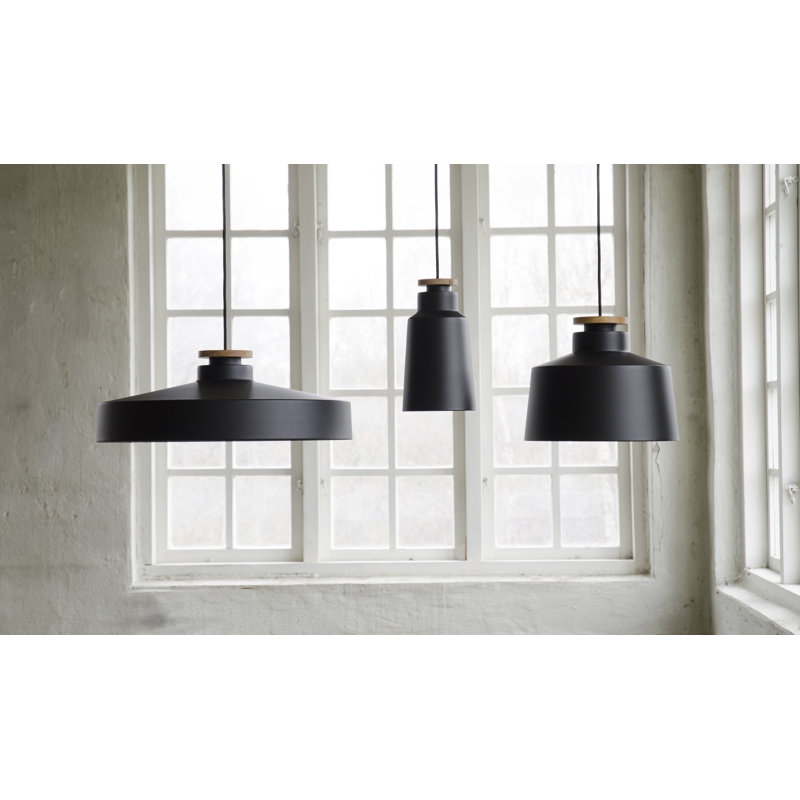 1 - Light Dome Pendant, Flat Black/Nature