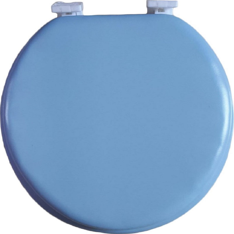 Round Toilet Seat and Lid, Light Blue