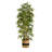 75'' Faux Bamboo Tree in Planter