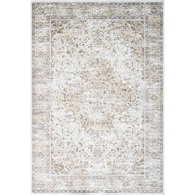 Helfrich Oriental Viscose Area Rug, Rectangle 160 x 230cm