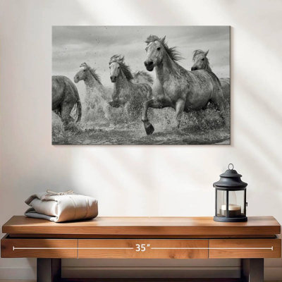 Brampt Sprinting Camargue Horses