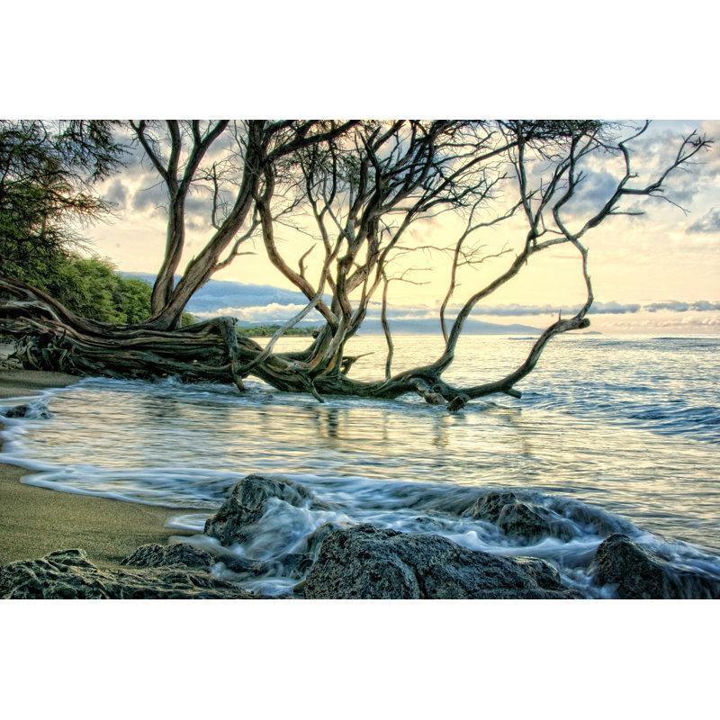 Reaching For The Sea II - Wrapped Canvas Art Prints, 30cm H x 46cm W x 3.8cm D