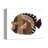 " Neutral Fish "-1631356019-1631356810