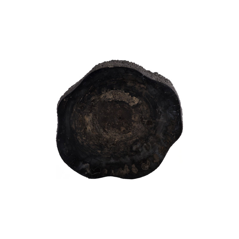 Chaka Petrified Coffee Table, Rough, Black, Tall