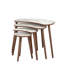 Table gigogne (4 pièces)