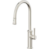 Davoli Pull-Down Kitchen Faucet with Button Sprayer - High Arc Spout
