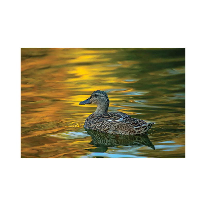 Night Glow On Golden Pond by Louis Ruth - Wrapped Canvas Print, 66.04 cm H x 45.72 cm W