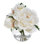 BLOOMS Cream Peonies in Glass Vase