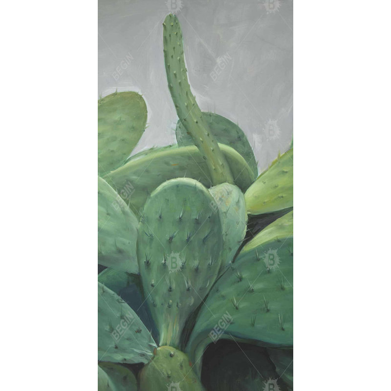 Cactus bundle - 15.75"x31.50" Desk mat