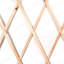 183cm H Wood Expanding Trellis-39290498