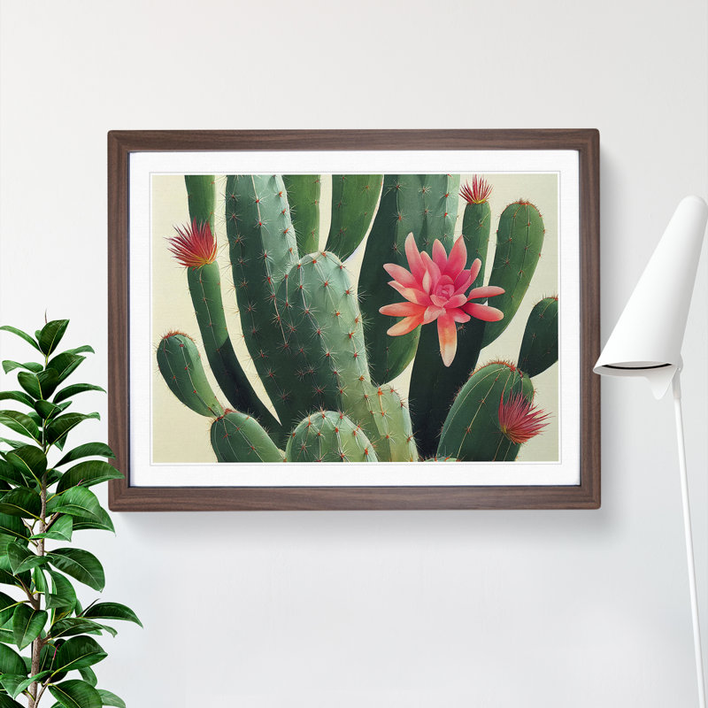 Splendorous Cactus - Framed Print, 46cm H x 64cm W x 2cm D, Walnut