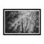 Crepuscular Rays Print by Tim Klein
