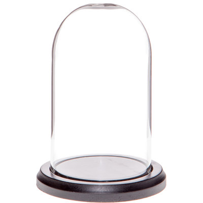 Cloche en verre 3 "x 5" Vucciria