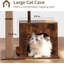 Grattoir pour chat, arbre à chat de style moderne avec poteau carré unique