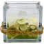 Pot de fleurs en verre