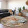 Premium Machine Washable Cerrito AMF520 Beige Rug
