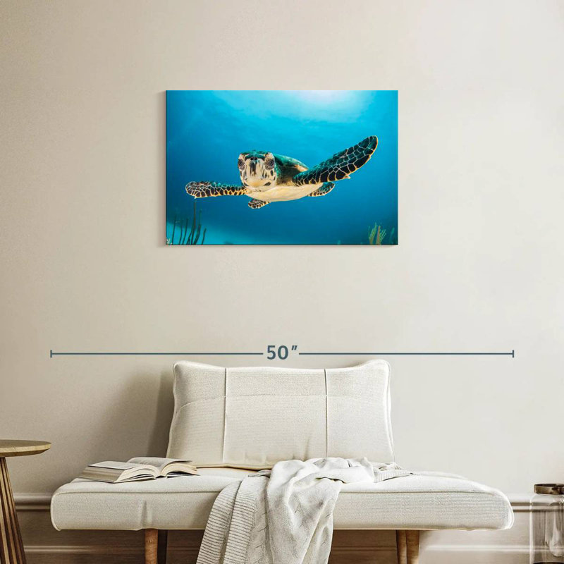 Tortue sous-marine Brampt, H 20 po x l 30 po