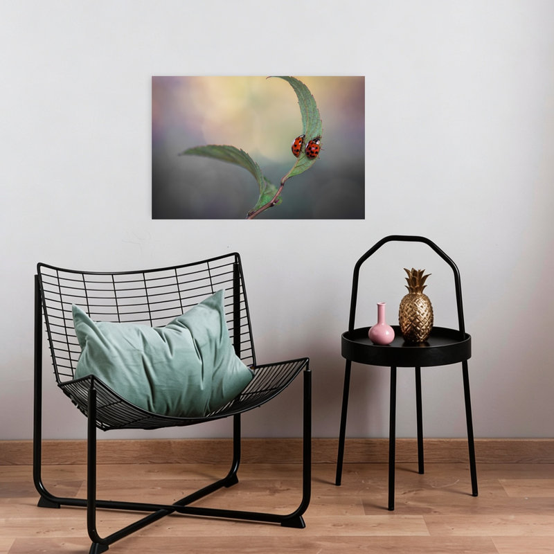 Serene Ladybug Pair Colorful Peaceful Serene Ladybug Nature Plant Wall Art Print by Atul Saluja - Print