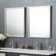 Divinity Modern and Contemporary Beveled Bathroom Mirror