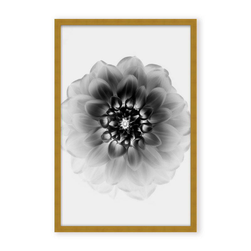 X-Ray Print by Alex Zhao, 24" H x 16" W x 1.125" D, Black, Framed Matted Print