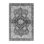 Antojuan Oriental Indoor Rug