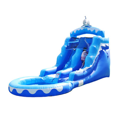 Glissade d'eau pour dauphins de 13 pi avec piscine pour enfants et adultes HeroKiddo (avec souffleur)