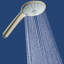 Euphoria® Eco Multi Function Handheld Shower Head with SpeedClean Nozzles and DreamSpray-4127863