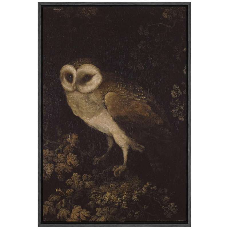 Oiseau, animaux sauvages, hibou, décor de ferme, animaux de la nature rustique, art moderne, décor douillet encadré sur toile