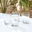 Hammered DOF Glass-Clear w/Gold Rim