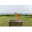 Ascutney Glass Pilsner Glass