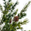 SEASONAL GREENERY TREE S/2 PINE BSKT 2FT