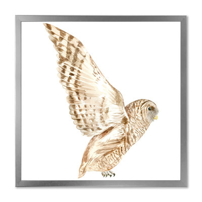 Portrait of a Barn Owl III - reproduction d'art sur toile traditionnelle