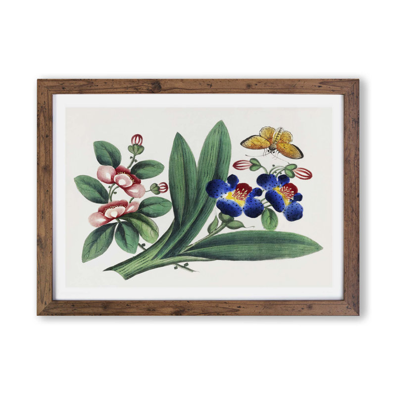 A Butterfly & Flowers - Framed Print, 24cm H x 33cm W x 2cm D, Walnut