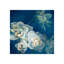 Evening Winter Rose Print-26934572-26934564