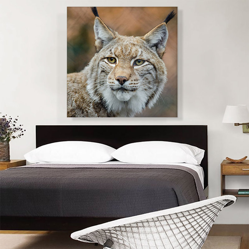 Lynx in Forest Home Decor - reproduction de photo sur toile tendue, H 36 po x l 36 po x 1,5 po
