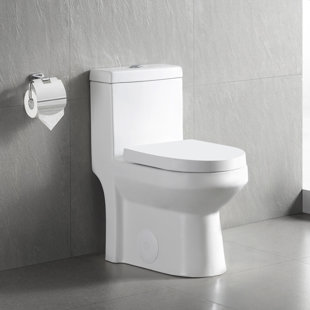 https://assets.wfcdn.com/im/79628740/resize-h310-w310%5Ecompr-r85/2313/231327201/liberty-compact-dual-flush-toilet-round-comfort-height-floor-mounted-one-piece-toilet.jpg