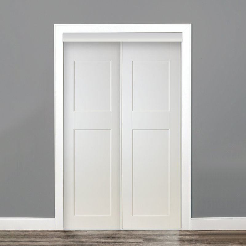 White 2-Panel  Prefinished Sliding Closet Door, 48"  x 80"