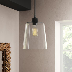 Herman 1 - Light Single Bell Pendant(incomplete missing light )