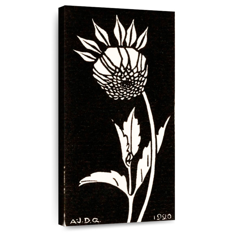 Dahlia 1920