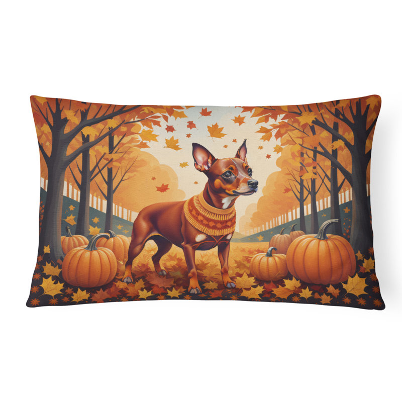 Other/No Pattern Outdoor Throw Pillow