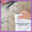 Owls In Flight Comforter-126737349