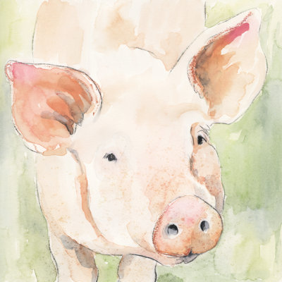 Sunny The Pig II by Victoria Barnes - Wrapped Canvas Painting