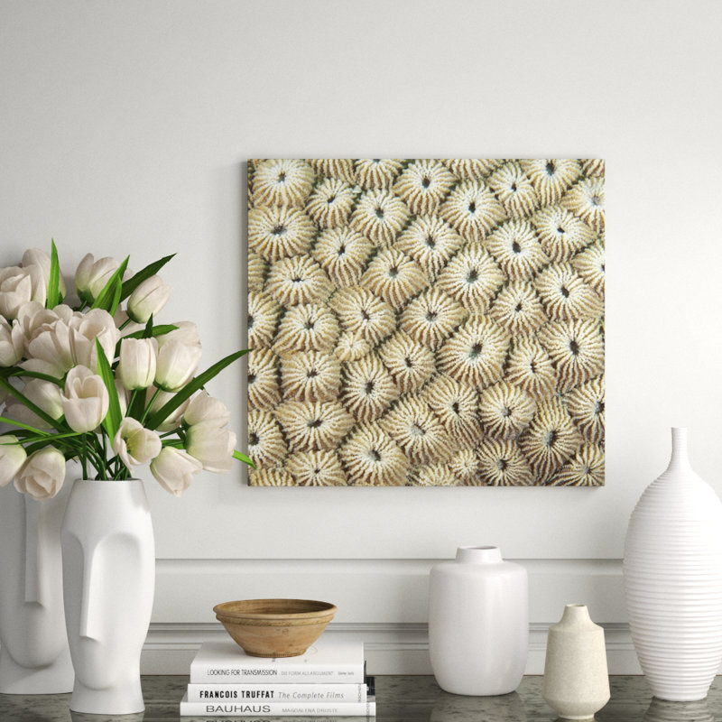 Underwater Beauty IV Print by Austin Beiv, Outdoor, 22" H x 22" W x 1.5" D