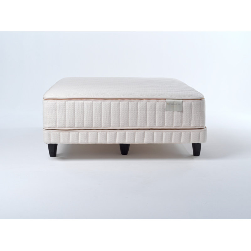 The Oxford 2.0 Plush- 13" Organic, Full