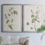Toile encadrée de qualité supérieure Wispy Botanical I - prête à être accrochée-1622420743-1622420740