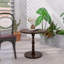 Table d'appoint ronde 23 po brun noyer, table d'appoint ronde, petite table à boissons pour les petits espaces, table de chevet moderne avec pieds en bois massif pour le salon, la chambre à coucher, les coins et le bureau (brun noyer)