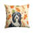 Bearded Collie noir