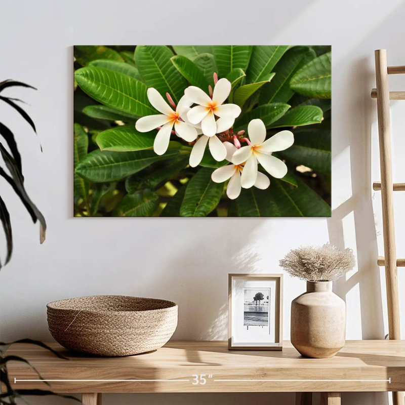 Fleurs de plumeria blanches Harnek, H 16 po x l 24 po