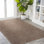 Antto Solid Low-Pile Brown Rug